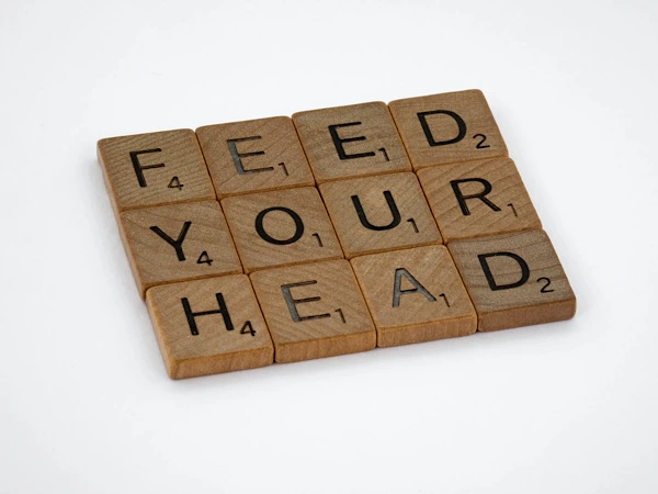 Feed Your Head - Music Glossary